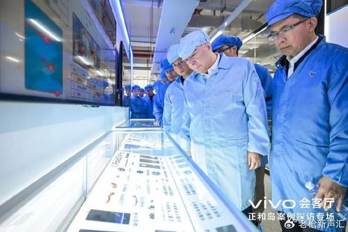 押 重注 的智慧,一位科技戰略專家眼中的vivo